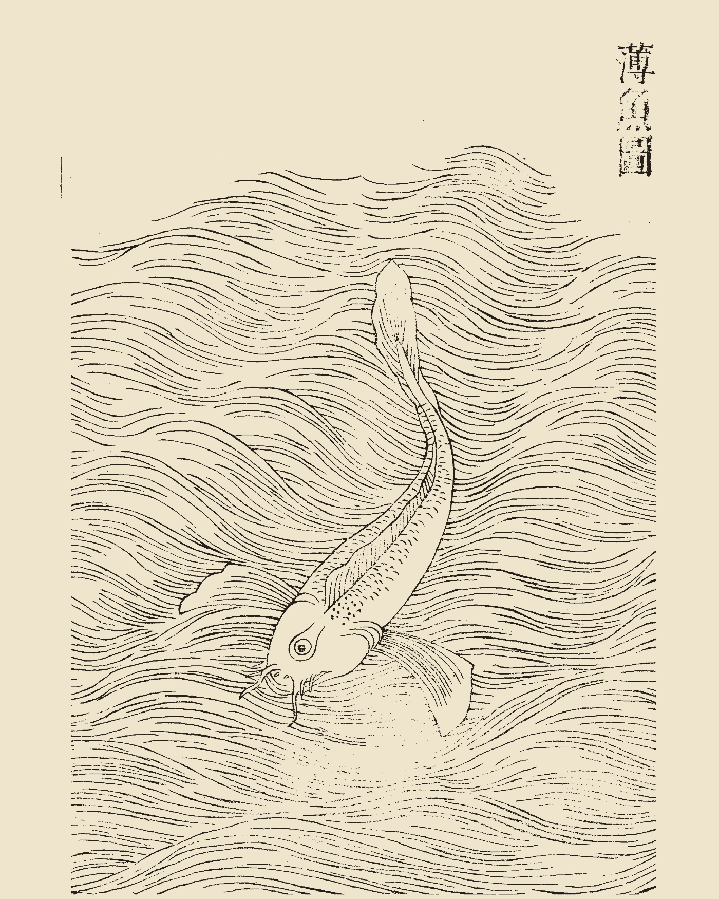 Woodblock print from Gujin Tushu Jicheng showing the one-eyed sturgeon fish Boyu leaping in water, inscribed 'Boyu Tu'