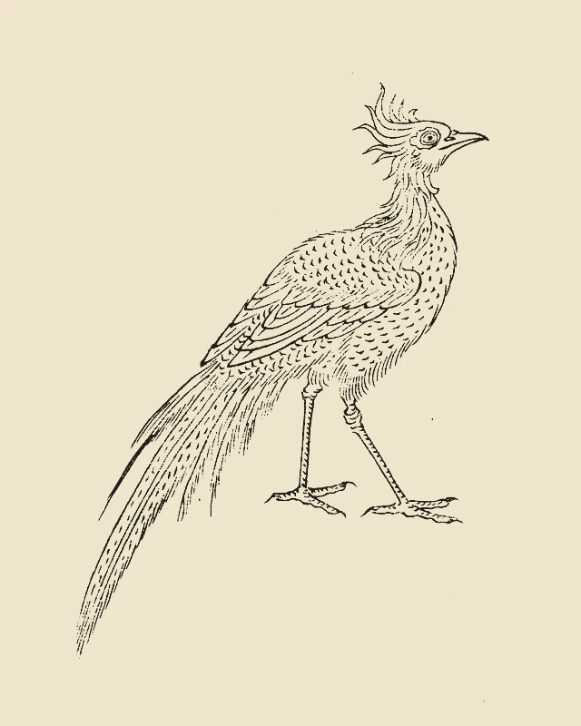 Danghu