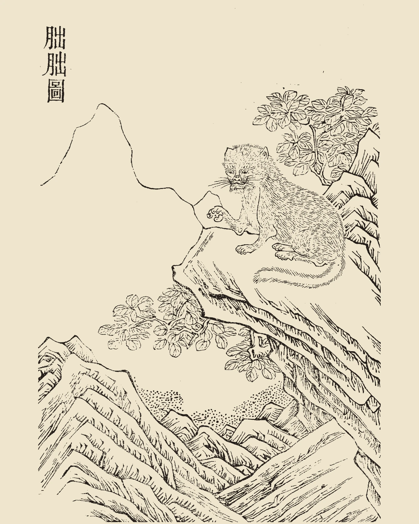 Woodblock print from Gujin Tushu Jicheng showing the gentle wildcat Feifei with fluffy white tail and dorsal mane, inscribed 'Feifei Tu'
