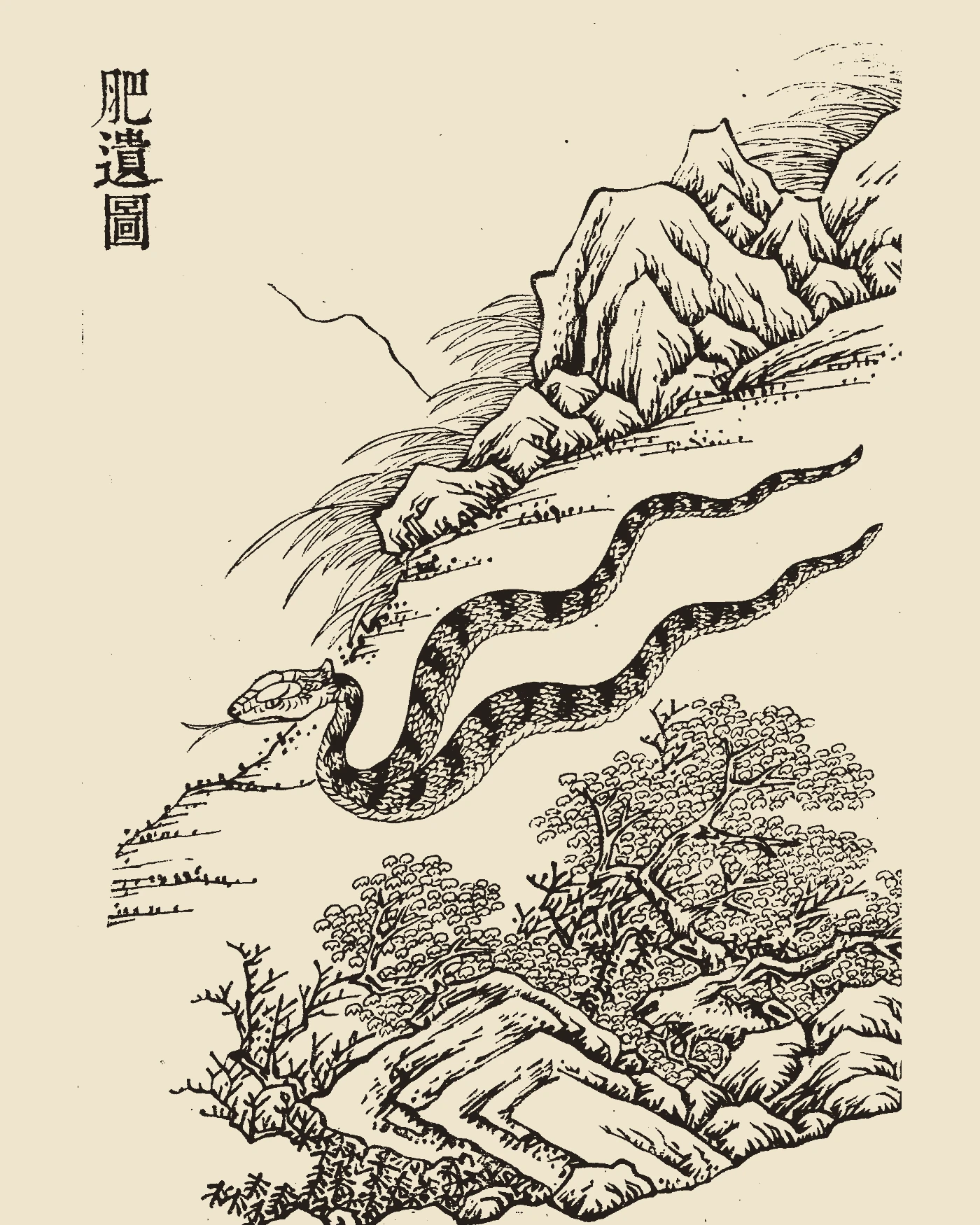 Woodblock print from Gujin Tushu Jicheng showing Feiyi, a serpent with one head and two bodies slithering on a rocky slope