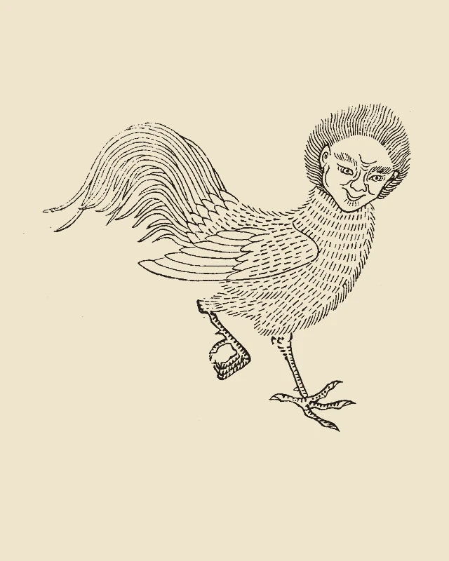 Fuxibird