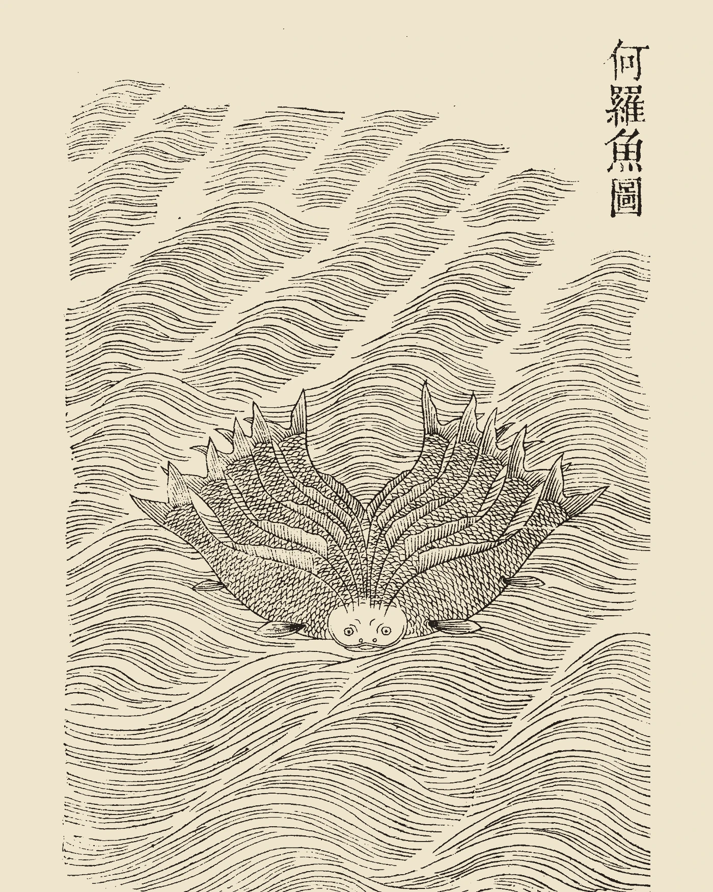 Woodblock print from Gujin Tushu Jicheng showing Heluoyu, a fish with one head and ten fanning bodies in turbulent waters