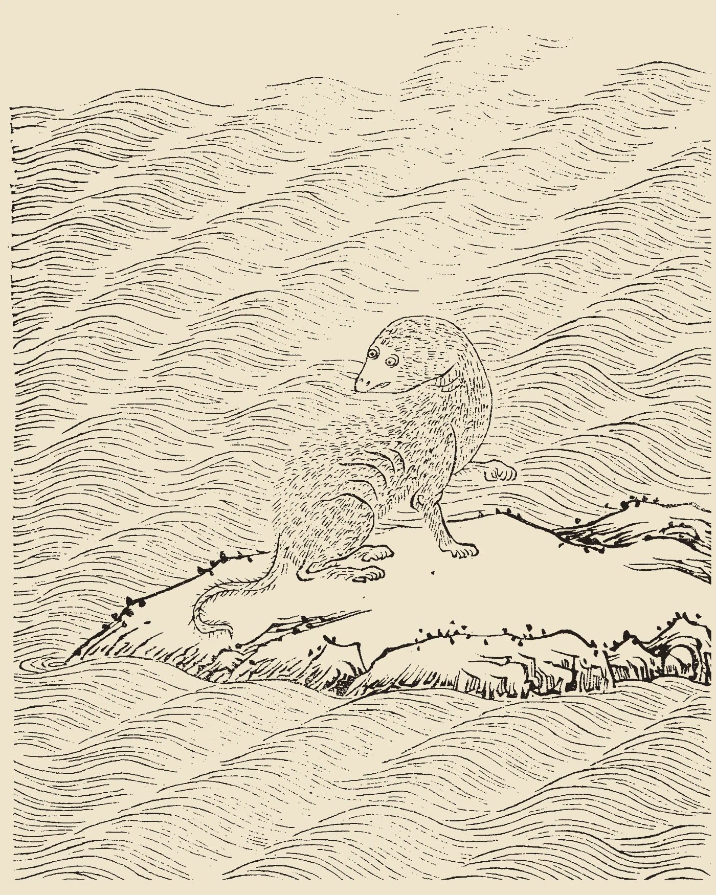 Woodblock print from Gujin Tushu Jicheng showing the paired deluge birds Manman gliding closely together above waters, inscribed 'Manman Tu'