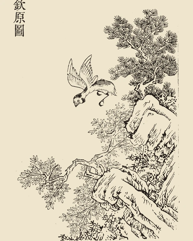 Qinyuan