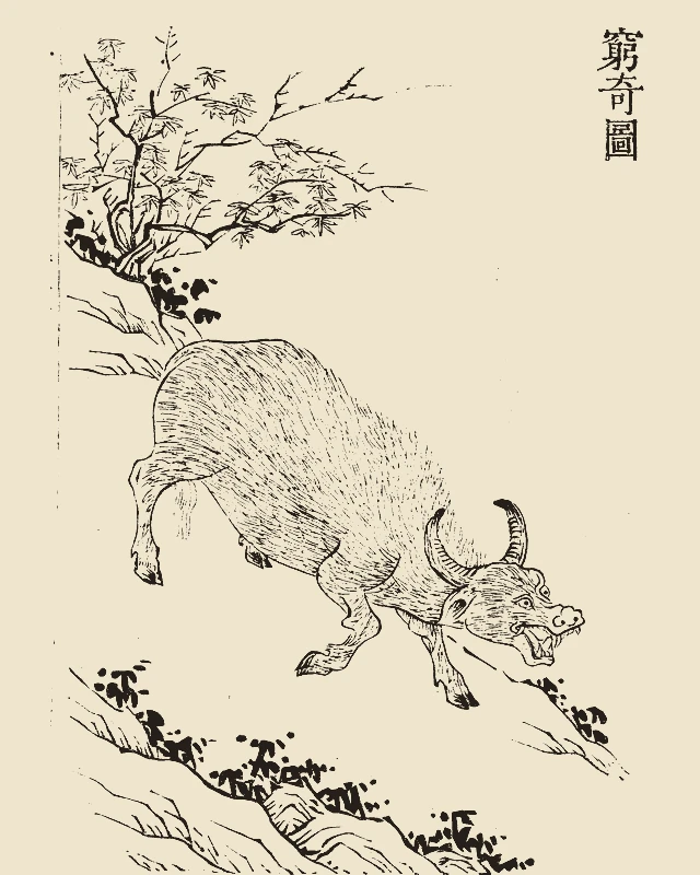 Qiongqi