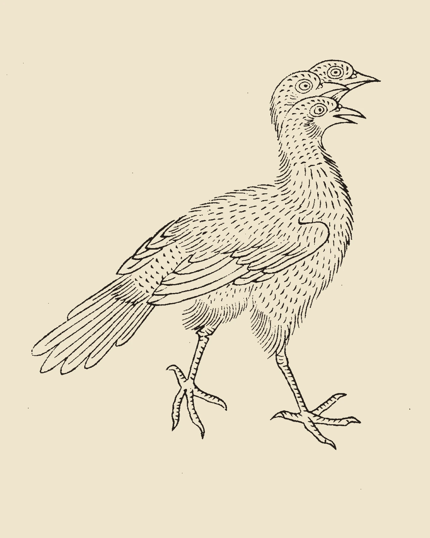 Woodblock print from Gujin Tushu Jicheng showing the three-headed raven Qiyu with multiple sweeping tails, inscribed 'Qiyu Tu'
