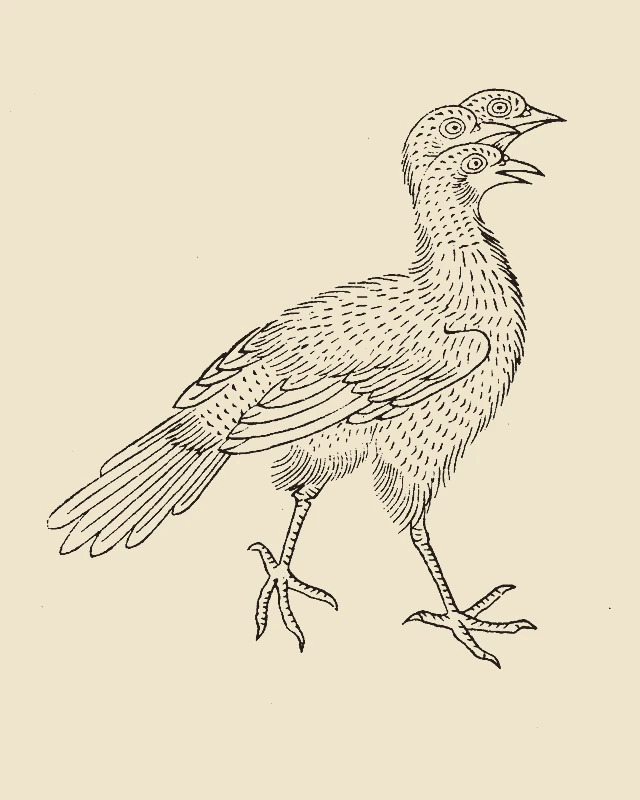 Qiyu