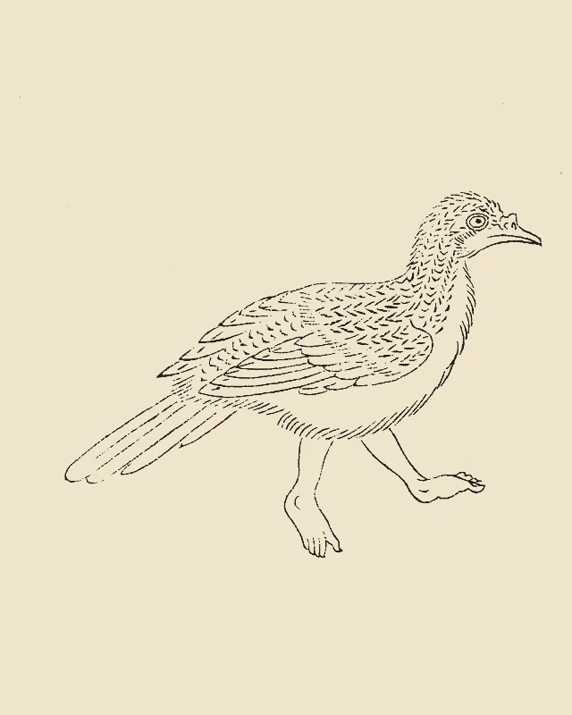 Shusi