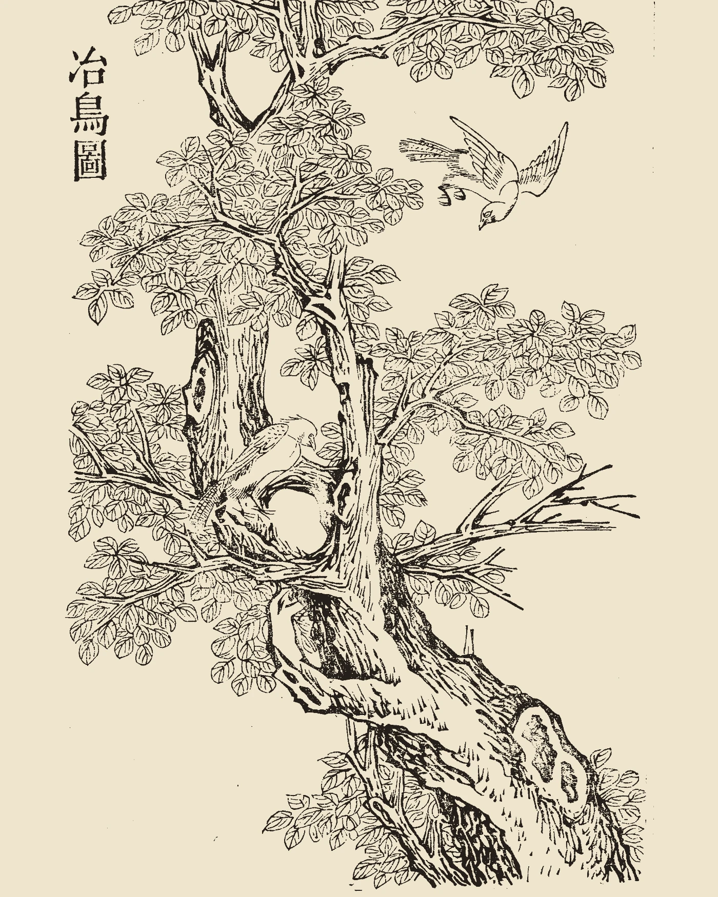 Woodblock print from Gujin Tushu Jicheng showing the azure forest bird Yeniao perched gracefully by tree branches, inscribed 'Yeniao Tu'