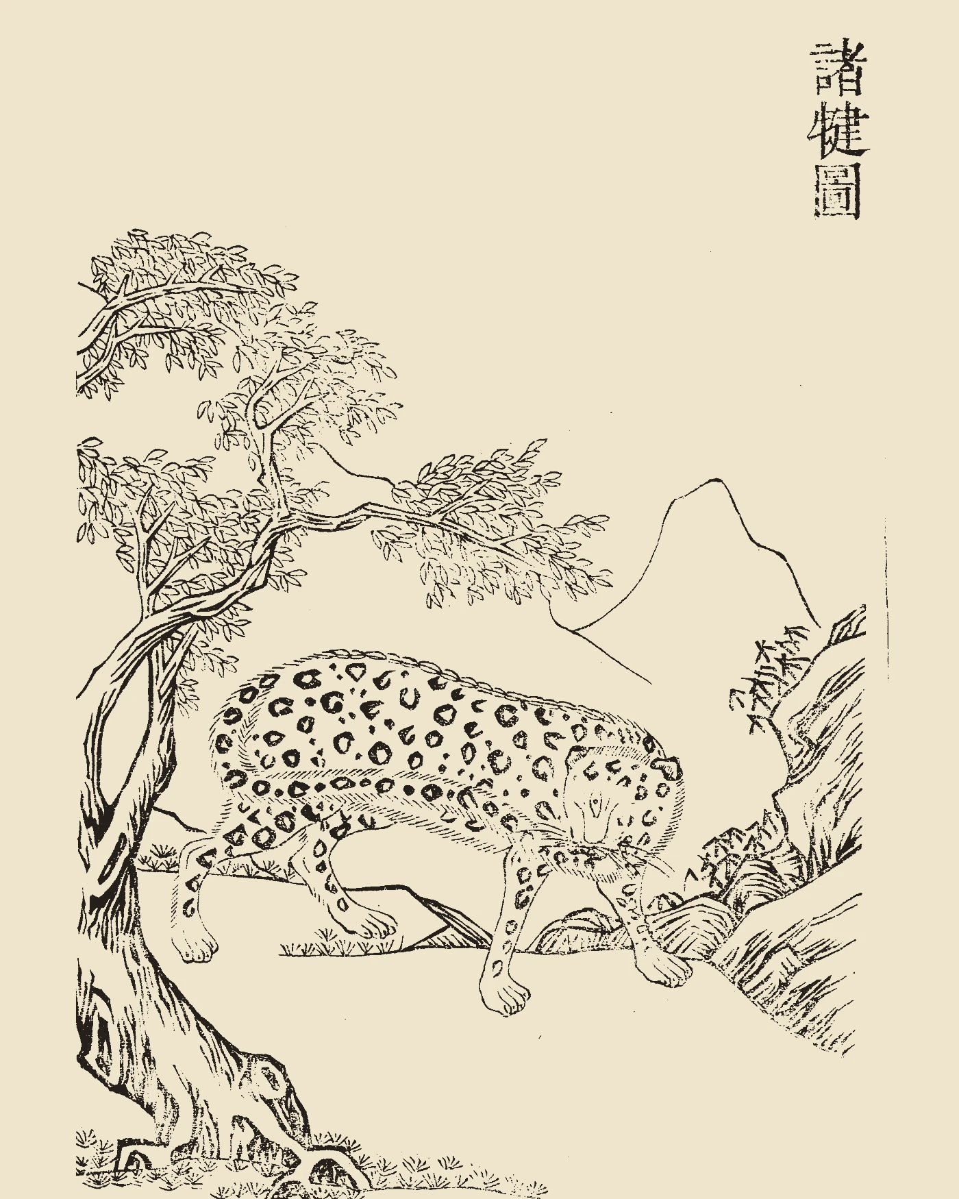 Woodblock print from Gujin Tushu Jicheng showing Zhujian, a one-eyed leopard-like beast holding its tail in its mouth