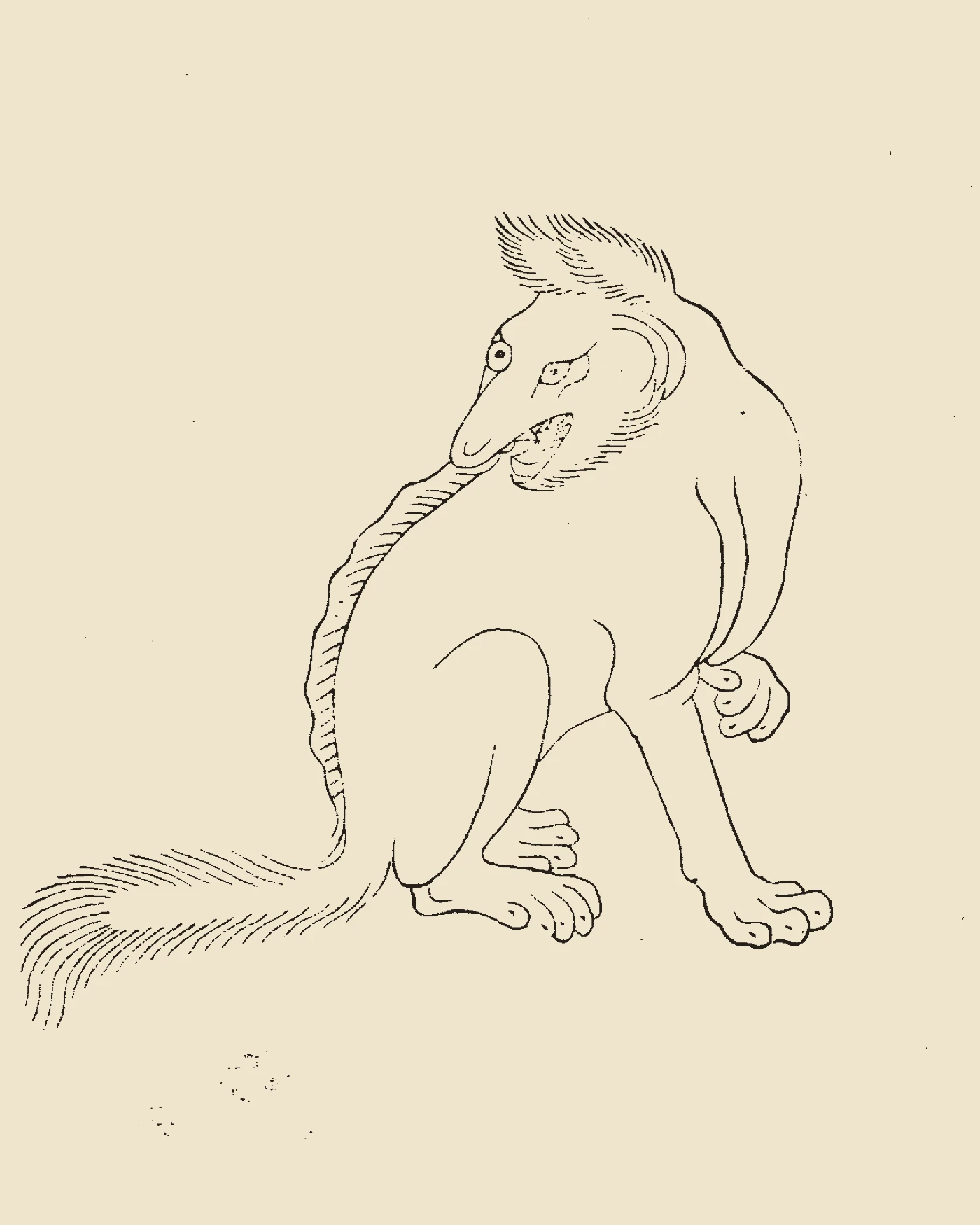 Woodblock print from Gujin Tushu Jicheng showing Zhuru, a fox-like beast with fish wings sprouting from its ribs